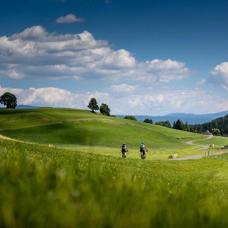 Gartenloft An Der Mur Murau Eksteriør billede