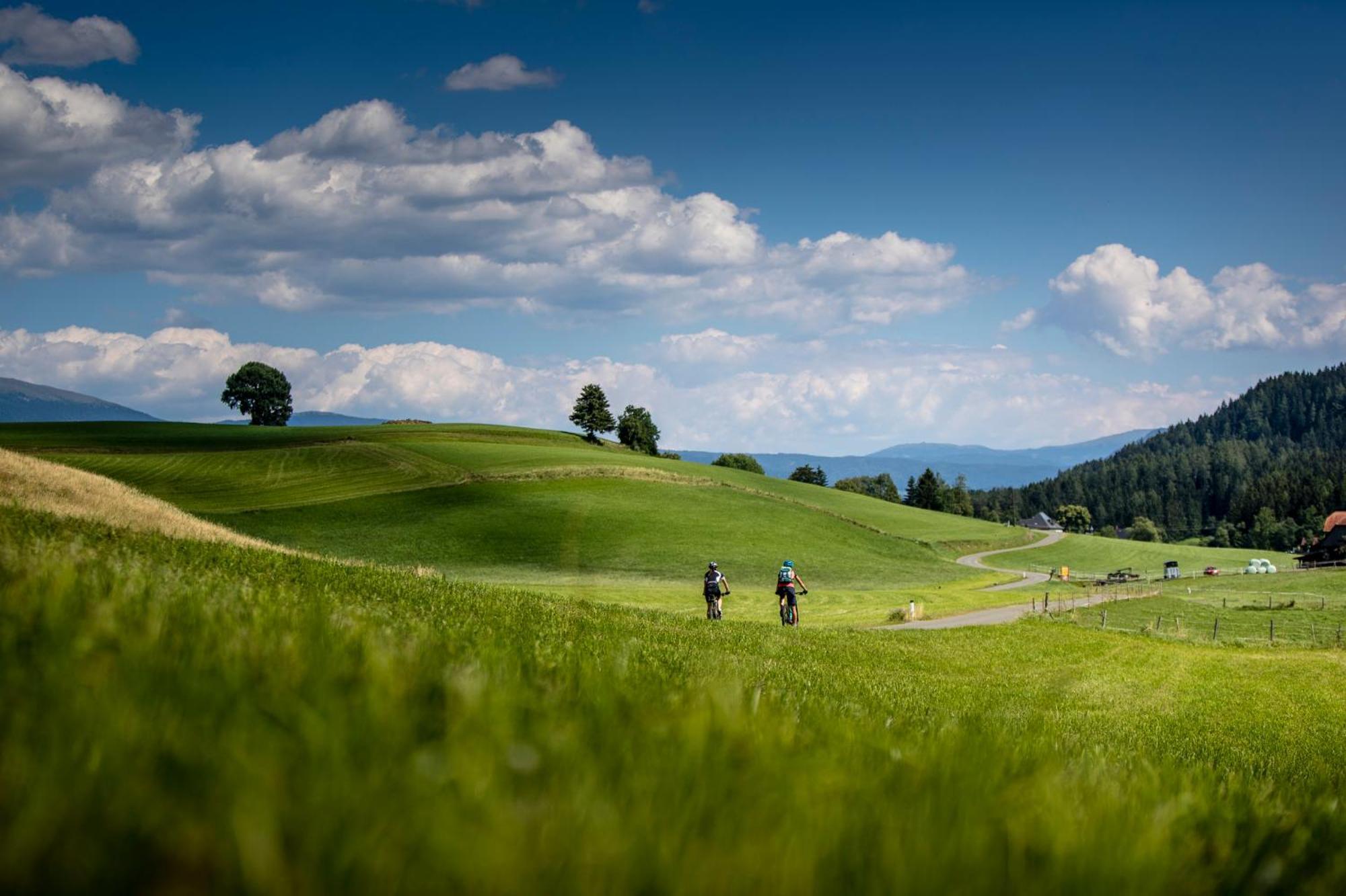 Gartenloft An Der Mur Murau Eksteriør billede