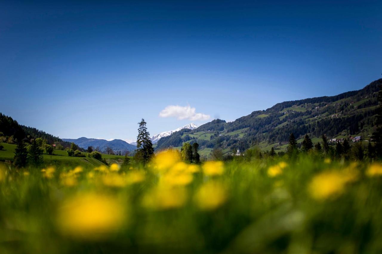 Gartenloft An Der Mur Murau Eksteriør billede